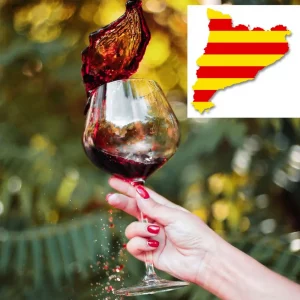 TALLER DE VINS CATALANS 03/12/25