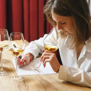 CURS MONOGRÀFIC DE VI 08/10/25