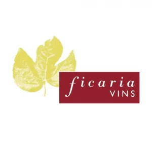 TAST DE VINS CELLER CONVIDAT FICÀRIA VINS 20/11/25