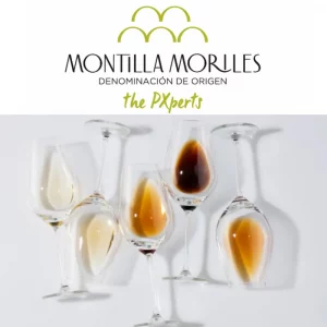 TAST DE VINS D.O MONTILLA MORILES 22/01/26